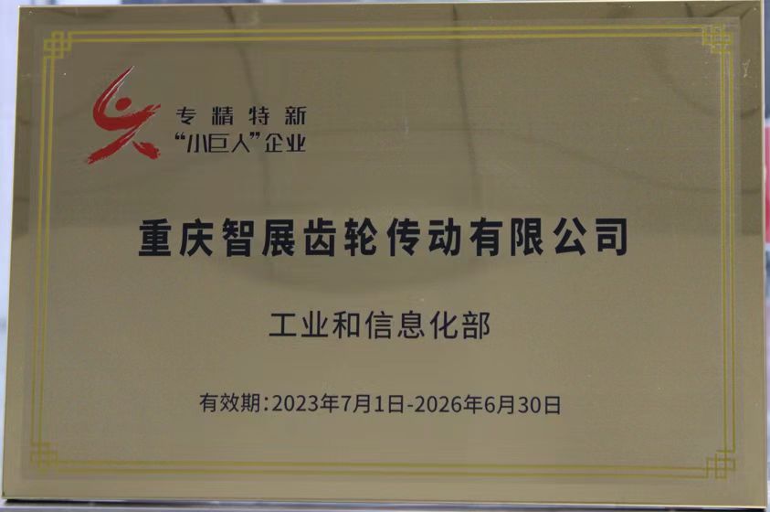 National-level "specialized, refined, distinctive and innovative" enterprise